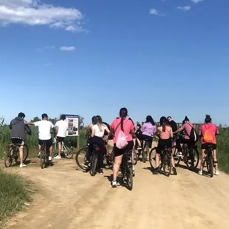 Caseta De L'avi *
